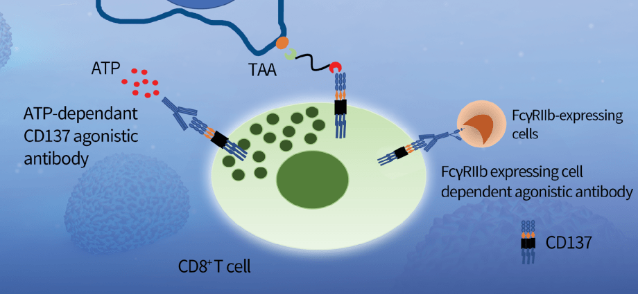 A spray that destroys cancer cells &#8211; this could be the future of oncology