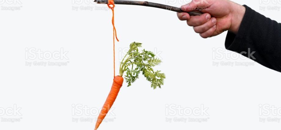 A stick or a carrot