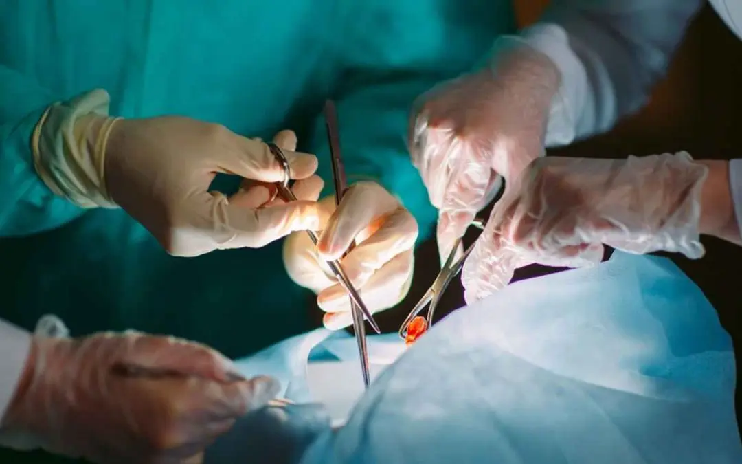 A tragic mistake in a  hospital. The woman died as a result of a medical malpractice