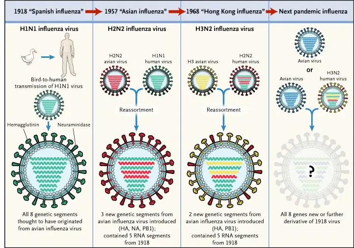 ABC of avian and swine flu