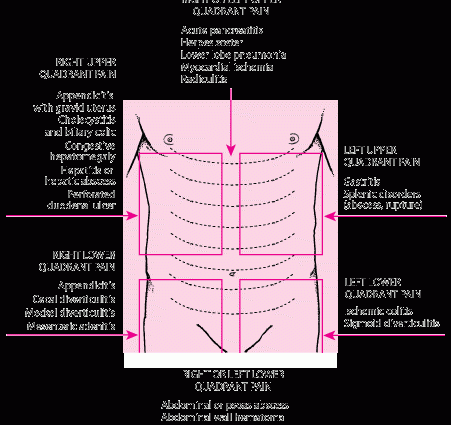 Abdominal cavity &#8211; characteristics and pain complaints