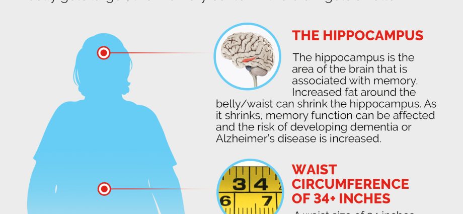 Abdominal fat increases the risk of dementia