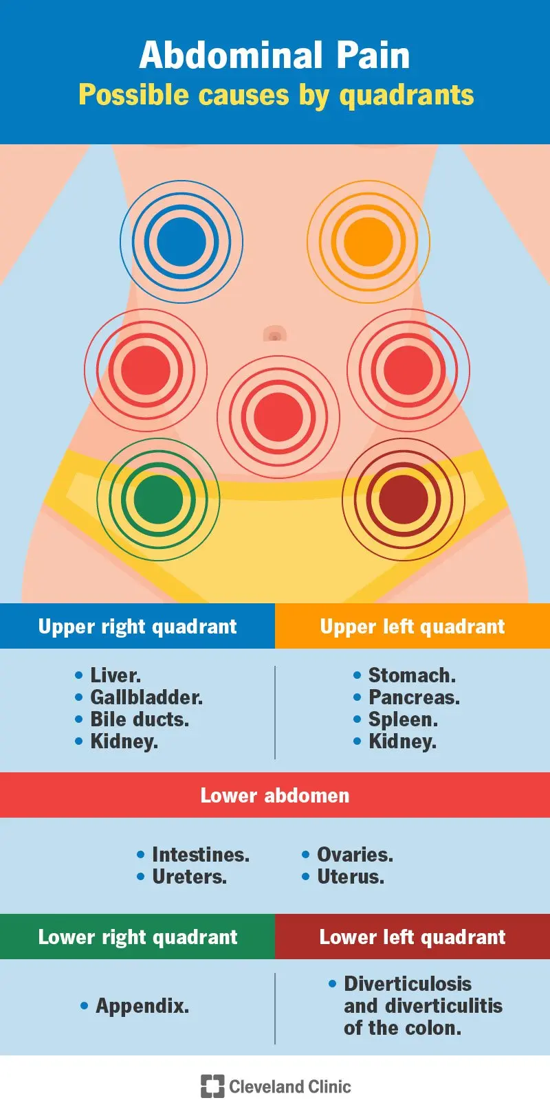 Abdominal pain after eating. Causes and Treatment