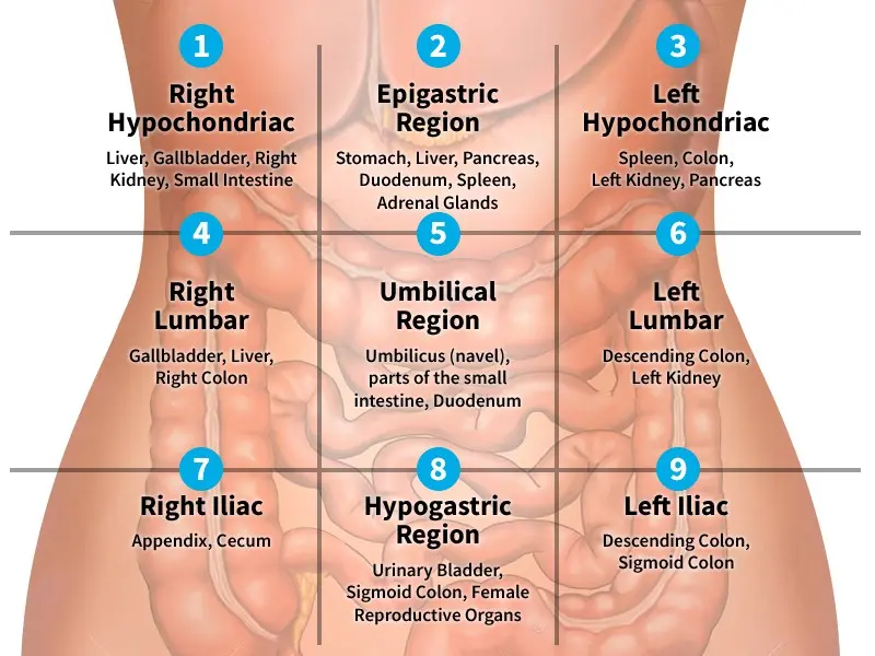 Abdominal pain on the right side