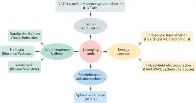 Ablation &#8211; types, indications, course. How to prepare for ablation?