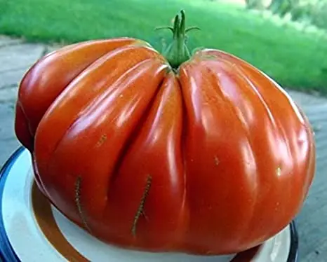 Abruzzo tomato