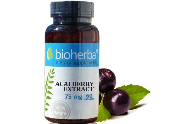 Acai extract &#8211; a dietary supplement for energy and vitality. How to dose?