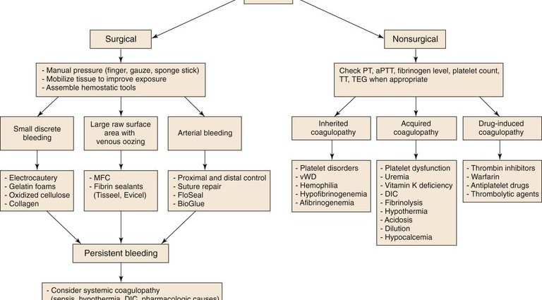 Acquired coagulopathies &#8211; what is it, symptoms, treatment