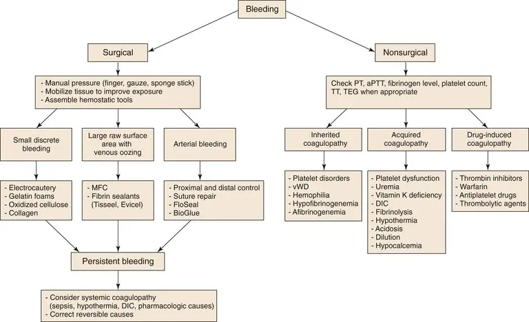 Acquired coagulopathies &#8211; what is it, symptoms, treatment