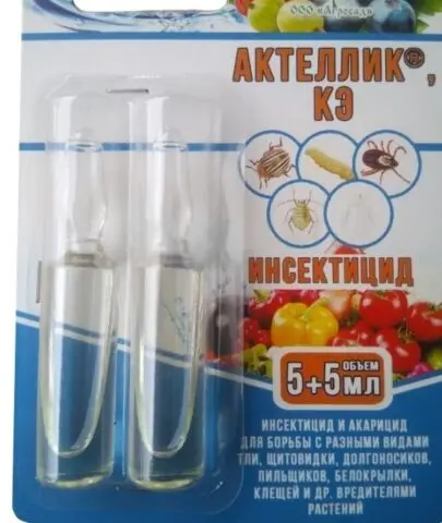 Actellik insecticide: instructions for use, reviews, when to process, composition