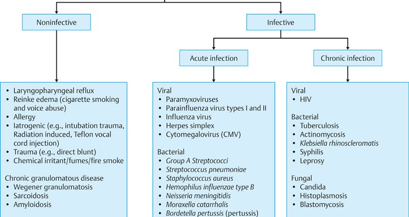 Acute inflammatory diseases of the larynx