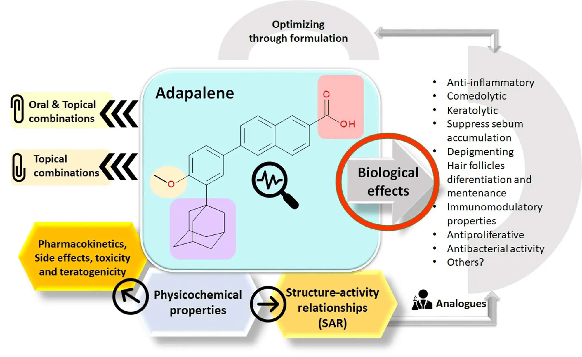 Adapalene &#8211; action, dosage, effects, contraindications, side effects