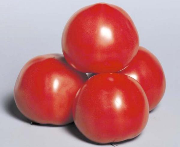 Advantages and description of tomatoes Pink Paradise f1