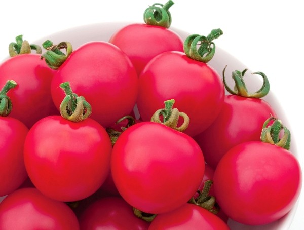 Advantages and description of tomatoes Pink Paradise f1