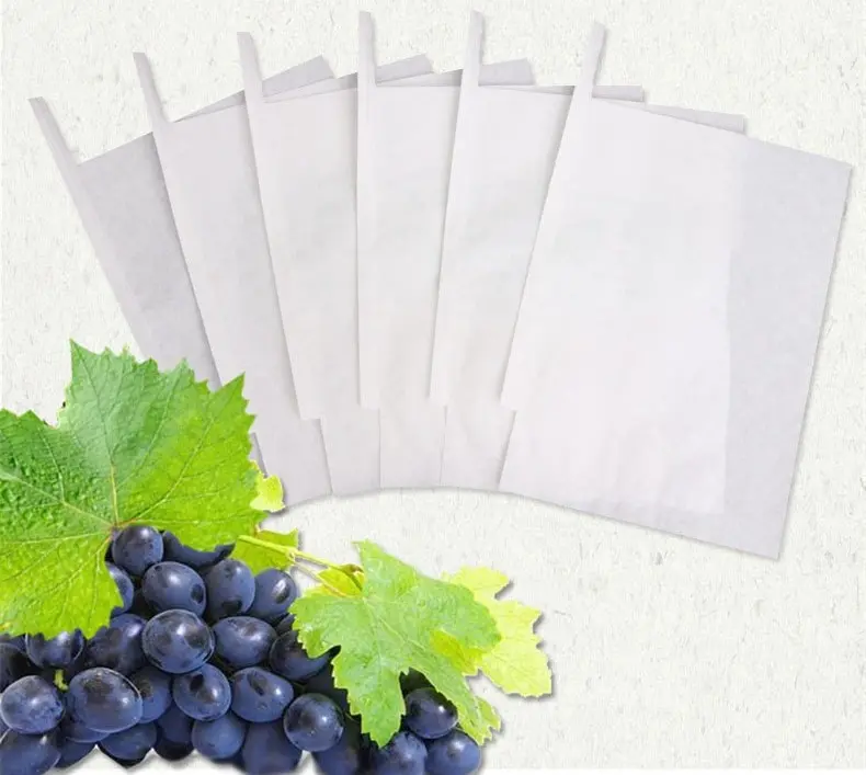 Advantages of Victor grapes and its disadvantages