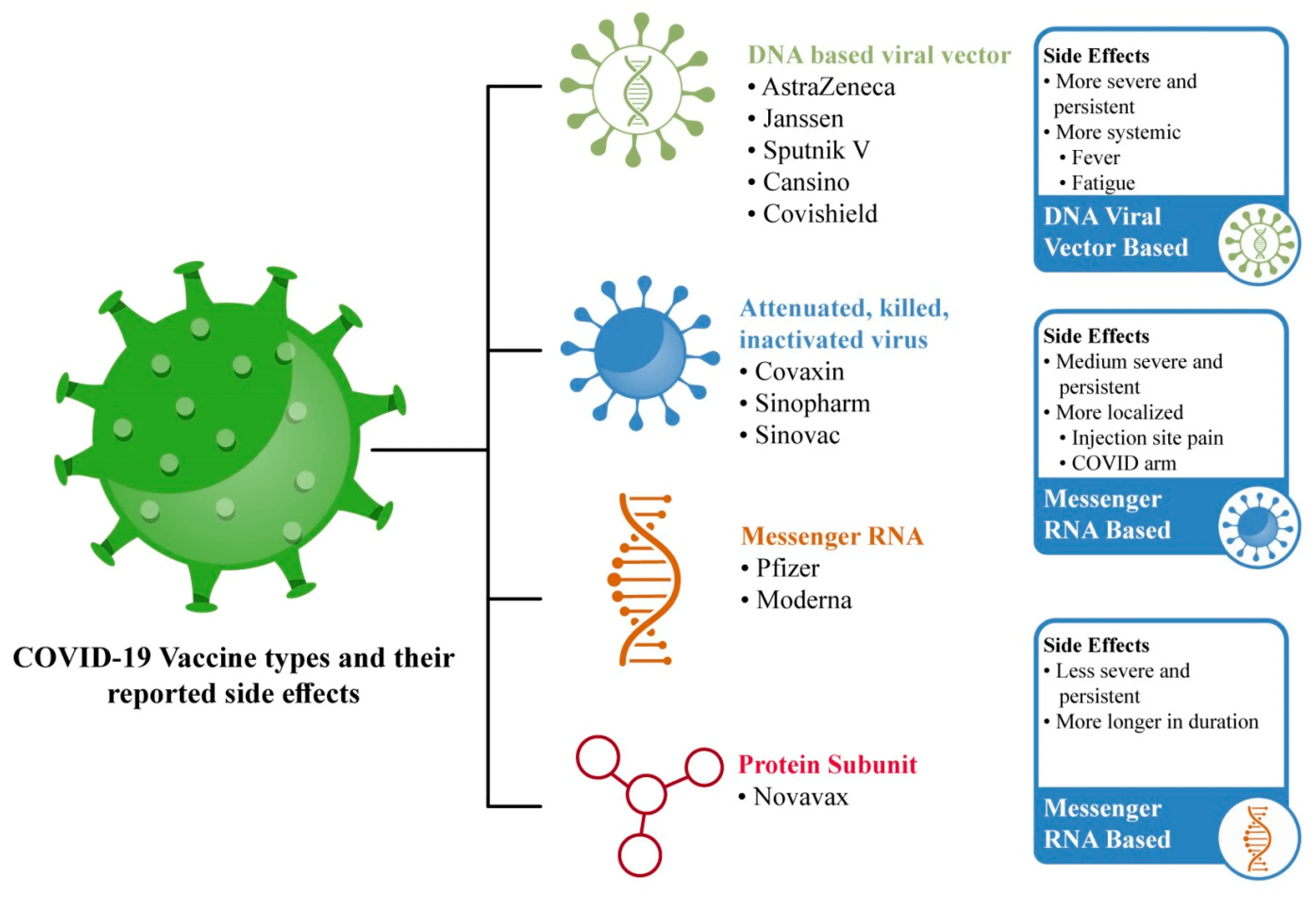 Adverse reactions after vaccination for COVID-19. After which preparation is the most? [REPORT]