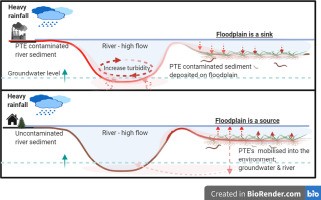 After the flood, there are no cases of poisoning in Małopolska