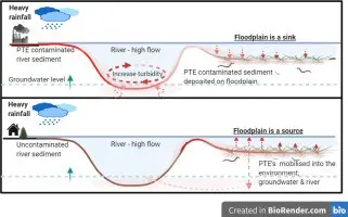 After the flood, there are no cases of poisoning in Małopolska