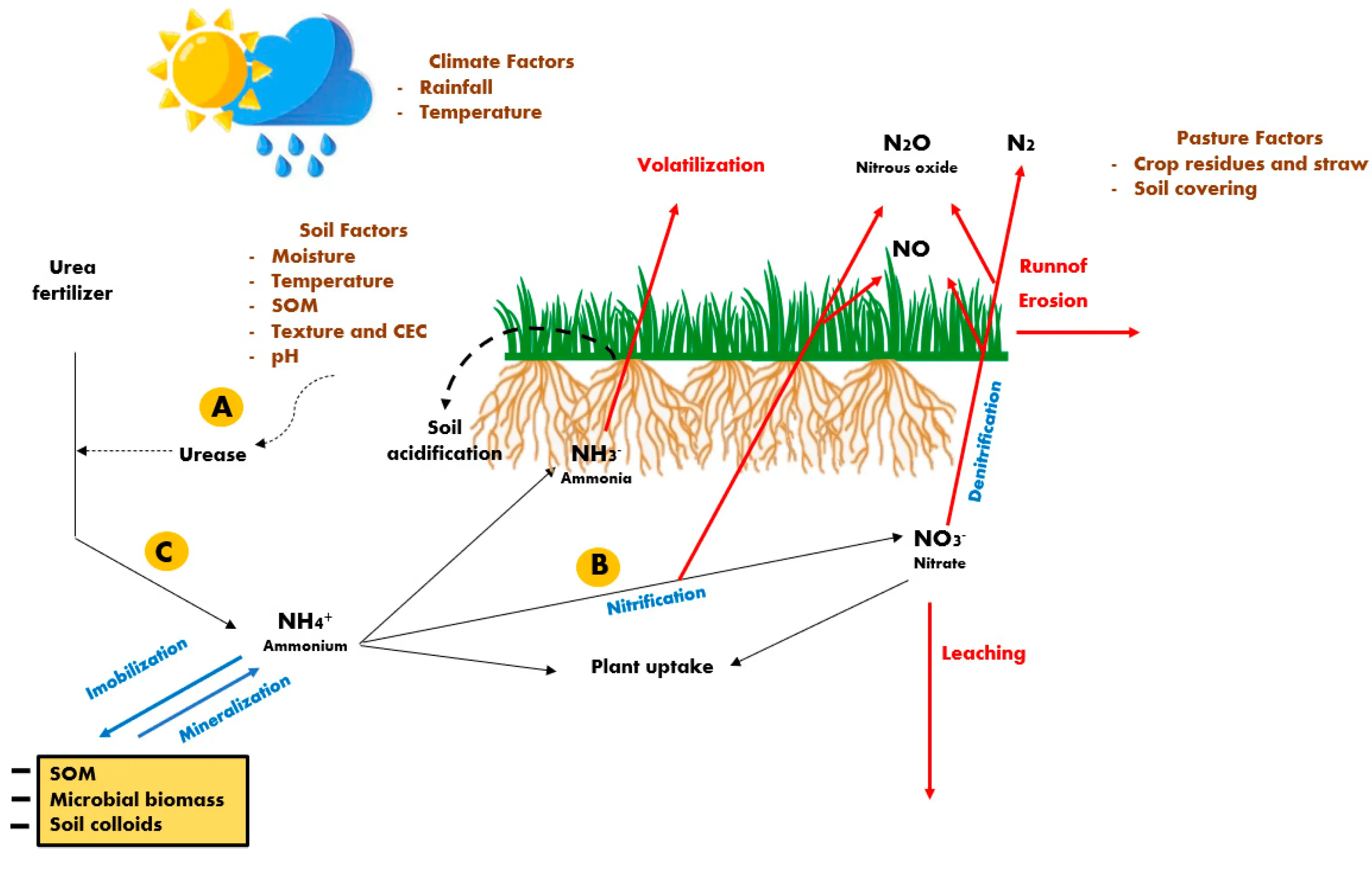 Agricola &#8211; mineral fertilizer of complex action