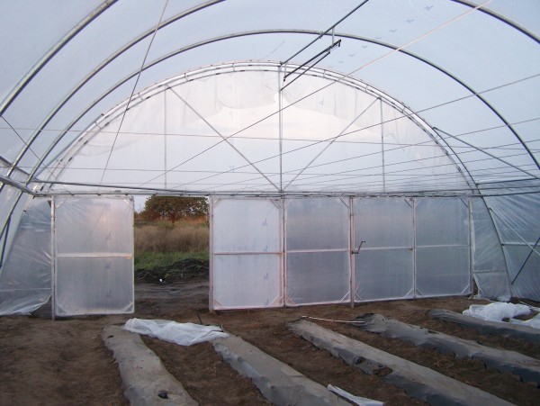 Agrofibre for a greenhouse: how to make a greenhouse out of it