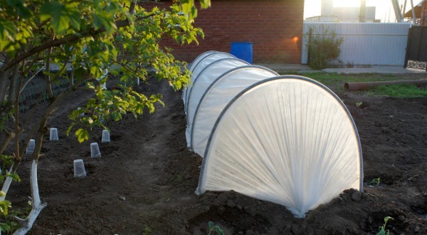 Agrofibre for a greenhouse: how to make a greenhouse out of it