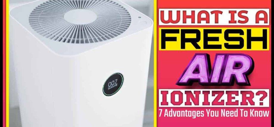 Air ionizer &#8211; operation, benefits and risks. How to choose an air ionizer?