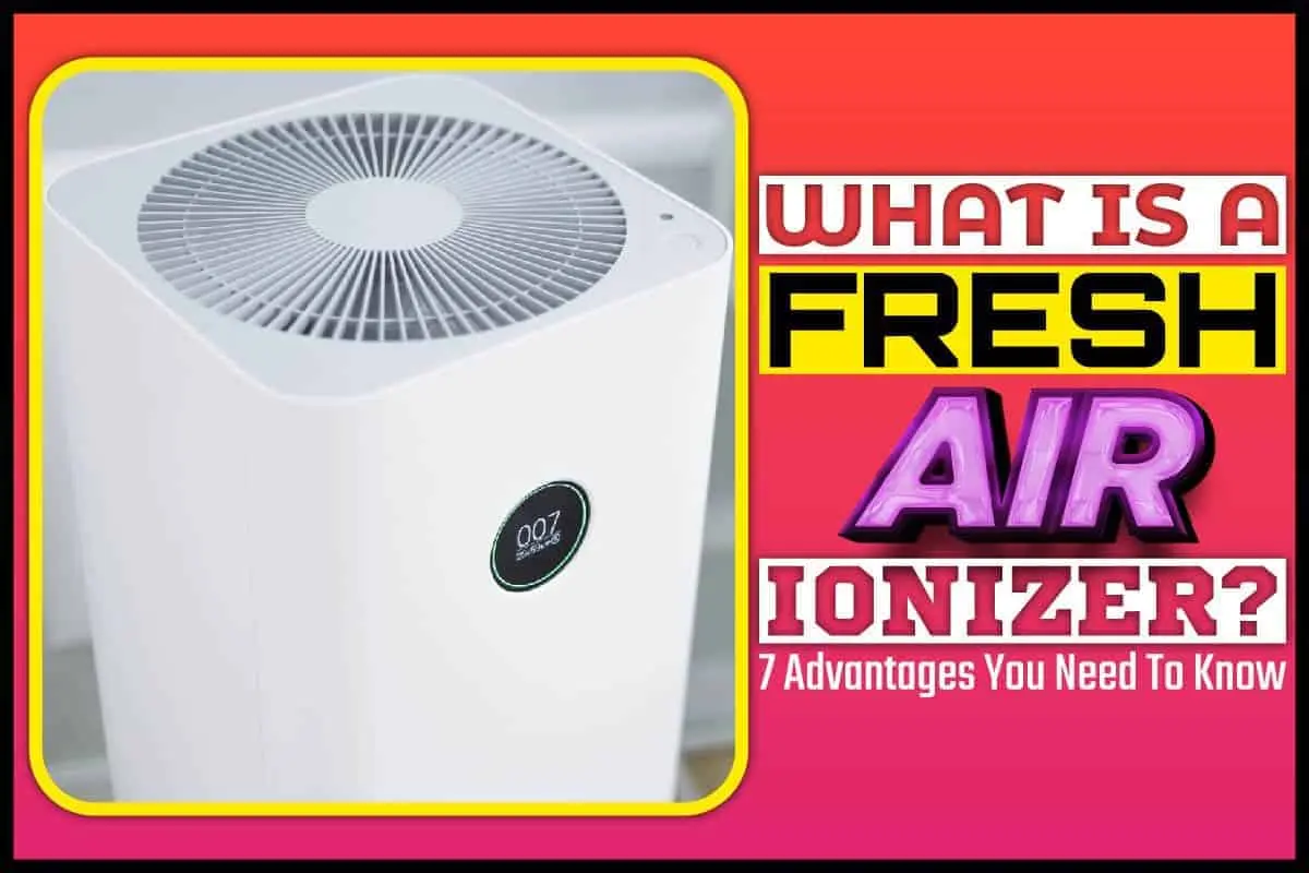 Air ionizer &#8211; operation, benefits and risks. How to choose an air ionizer?