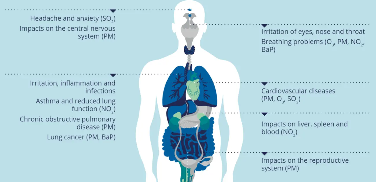 Air pollution is a growing health problem