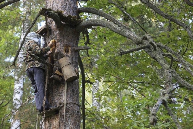 Airborne beekeeping