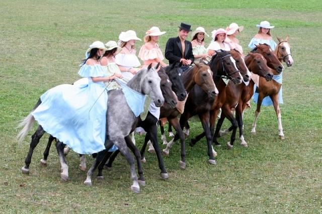 Akhal-Teke horse breed