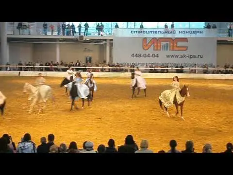 Akhal-Teke horse breed