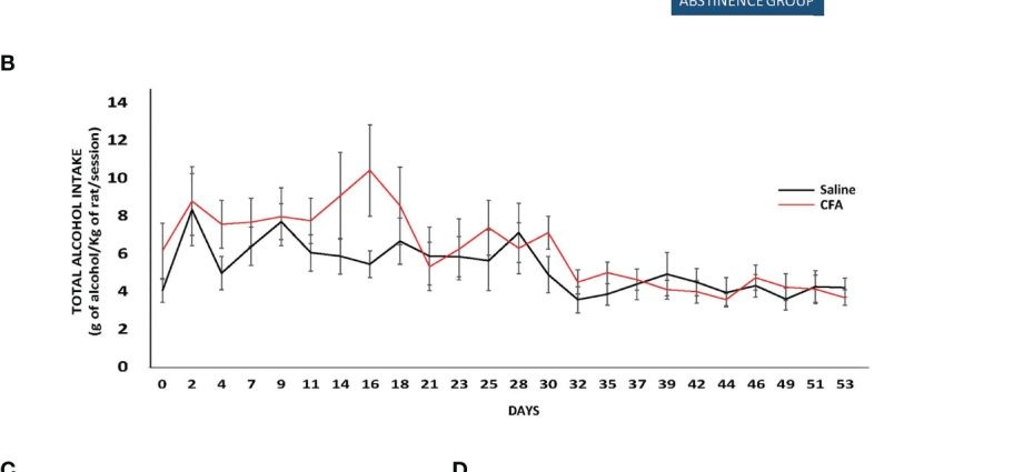 Alcohol before and after vaccination. Italians talk about 30 days of abstinence