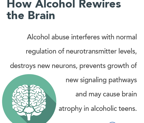 Alcohol causes long-lasting changes in a teenager&#8217;s brain