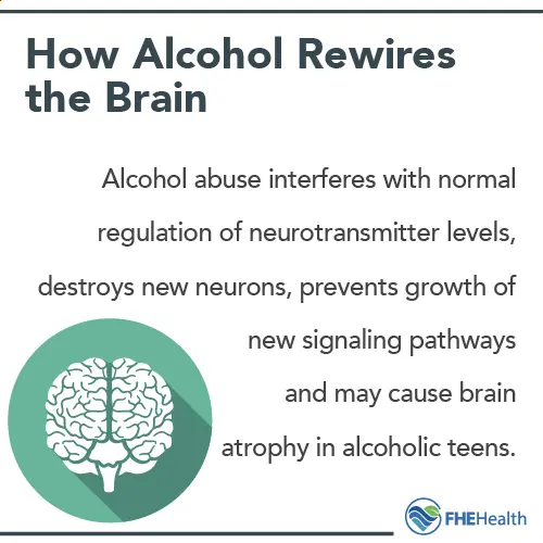 Alcohol causes long-lasting changes in a teenager&#8217;s brain