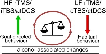 Alcohol or psychotropics? The Pole&#8217;s dilemma