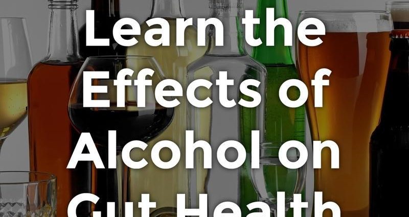 Alcohol slows down digestion but does not cause indigestion