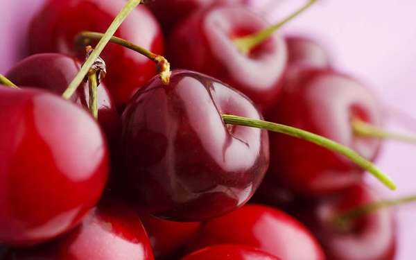 Alcohol tincture of cherries: recipes for fresh, dried, frozen berries, with bones