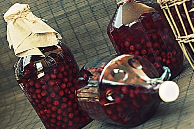 Alcohol tincture of cherries: recipes for fresh, dried, frozen berries, with bones