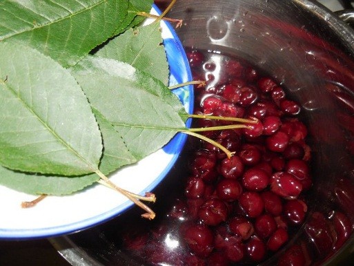 Alcohol tincture of cherries: recipes for fresh, dried, frozen berries, with bones