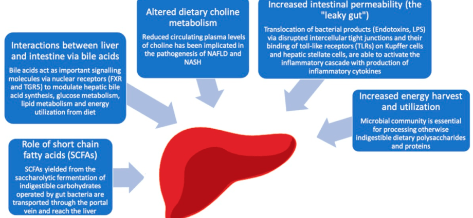 Algomed &#8211; action, indications, dosage, contraindications