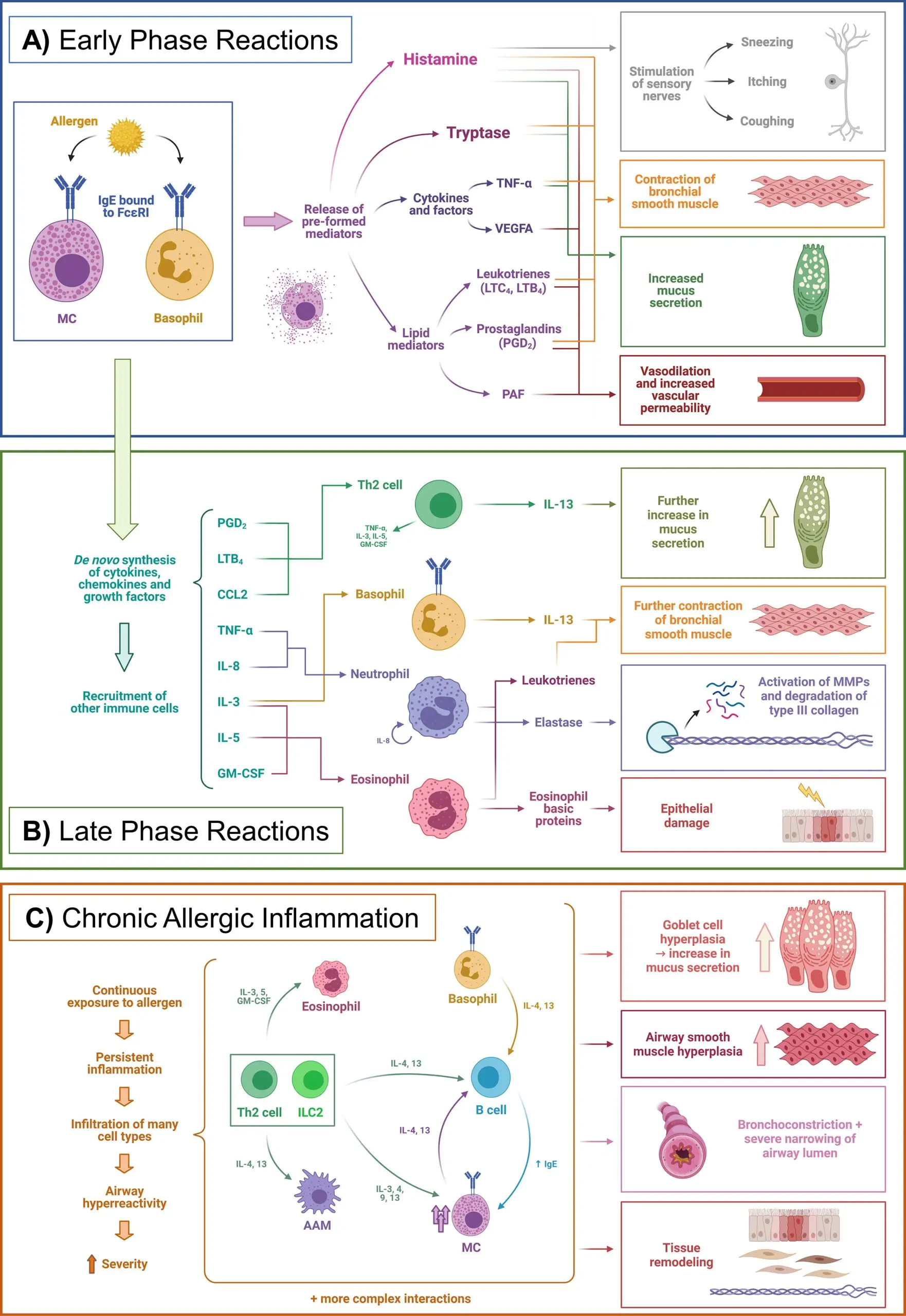 Allergy provides protection against glioblastoma