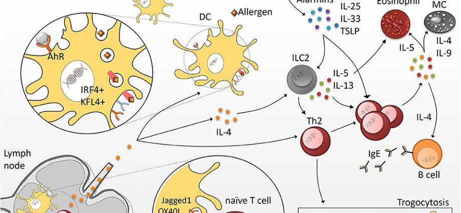 Allergy &#8211; sensitizing allergens