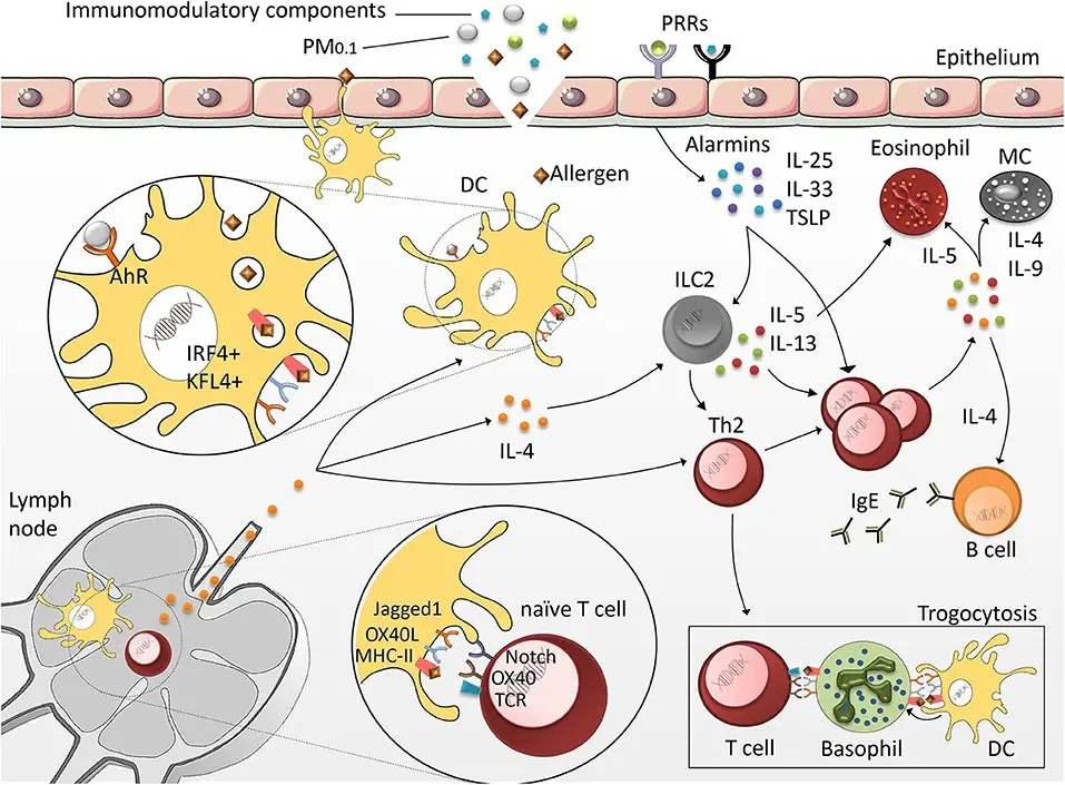 Allergy &#8211; sensitizing allergens