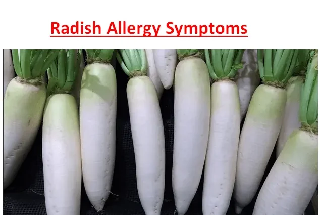 Allergy to spring vegetables &#8211; can young radishes cause allergies?