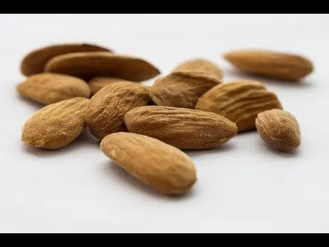 Almonds: the benefits and harms of nuts