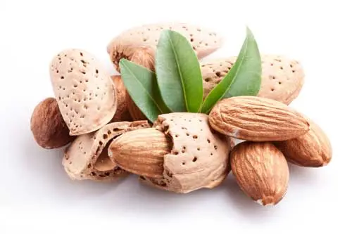 Almonds: the benefits and harms of nuts