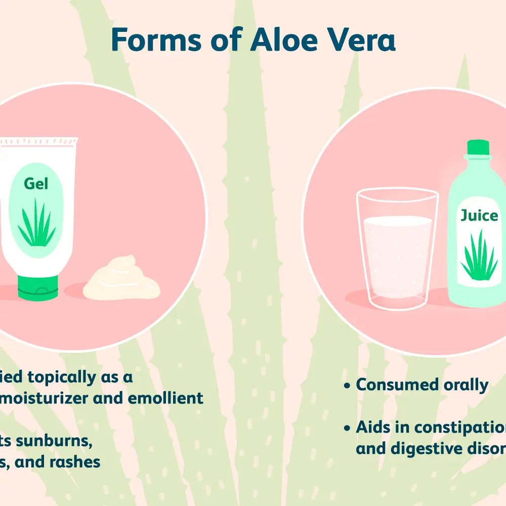 Aloe juice &#8211; properties, contraindications, dosage, price