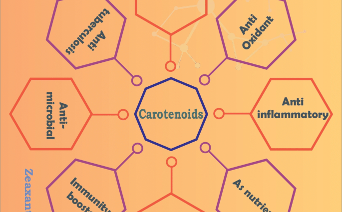 Alpha carotene is a good preventive medicine