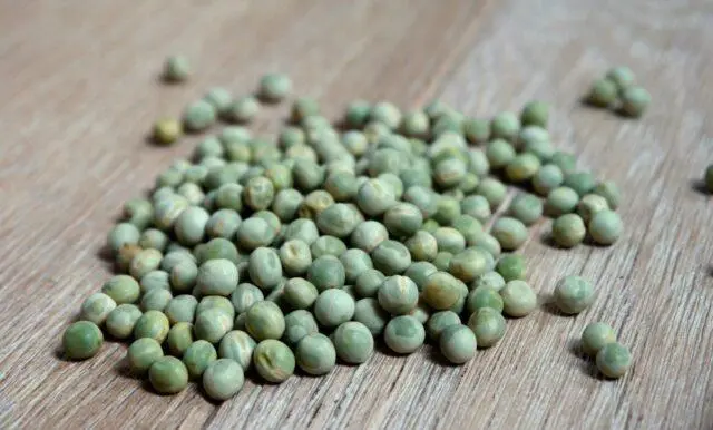 Alpha vegetable peas: variety description, taste, yield