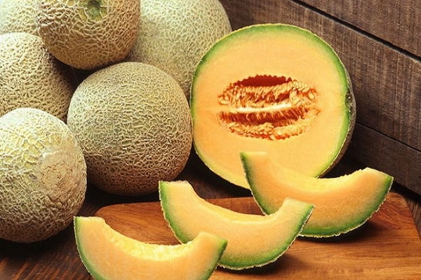 Altai melon: features of the variety and cultivation